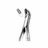 Extracting Forceps American Pattern